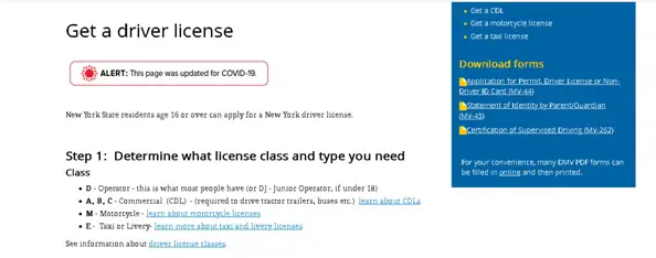 DMV Drivers License Guide