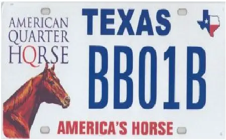 texas car title replacement