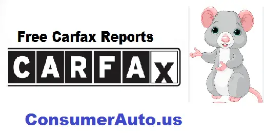 free carfax report